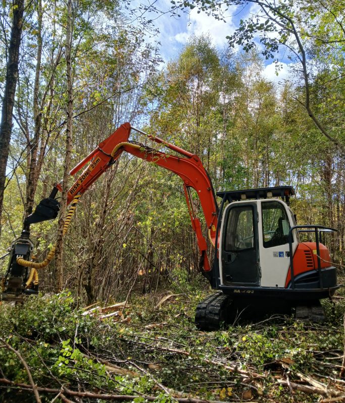 8 Tonne Thinnings Harvester